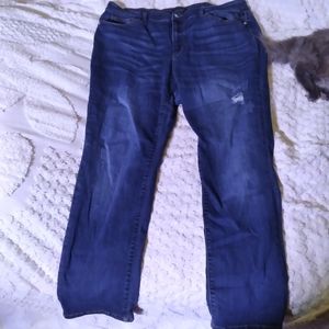 Judy Blue Distressed Straight Leg